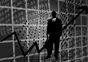 开云全站-深度报道:世俱杯背后隐藏的商业秘密,世俱杯介绍