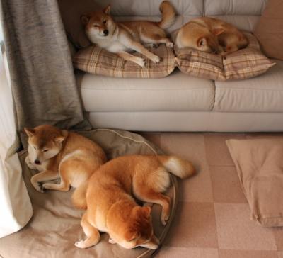 开云体育官网下载安装-【坎坷之路】马克·塞尔比从逆境到巅峰的心路历程，马克塞尔比历史地位