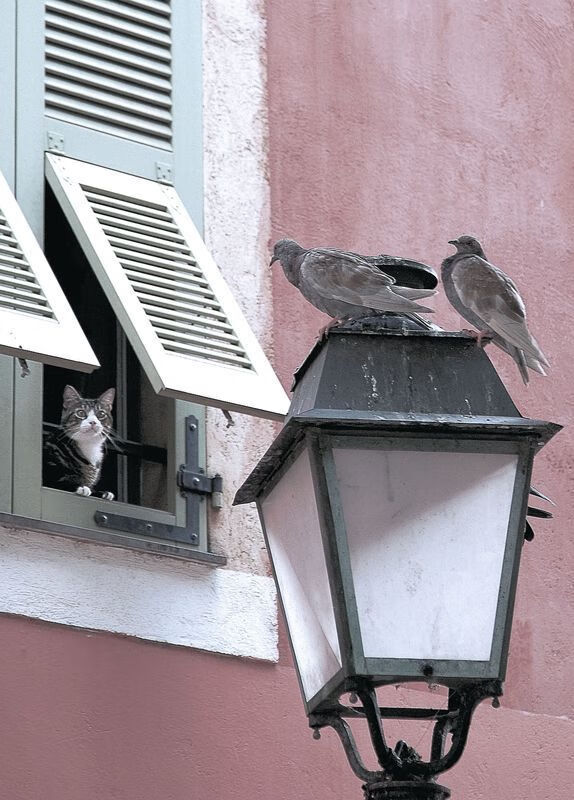 开云体育登录网站入口-战术调整：教练组的秘密武器揭秘，战术教员